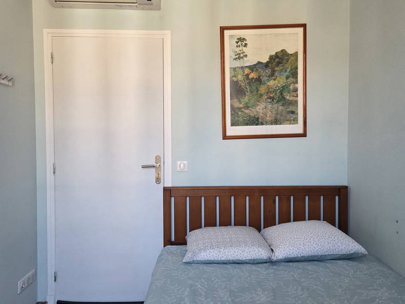 Kolokasie Le Cannet 239125-3