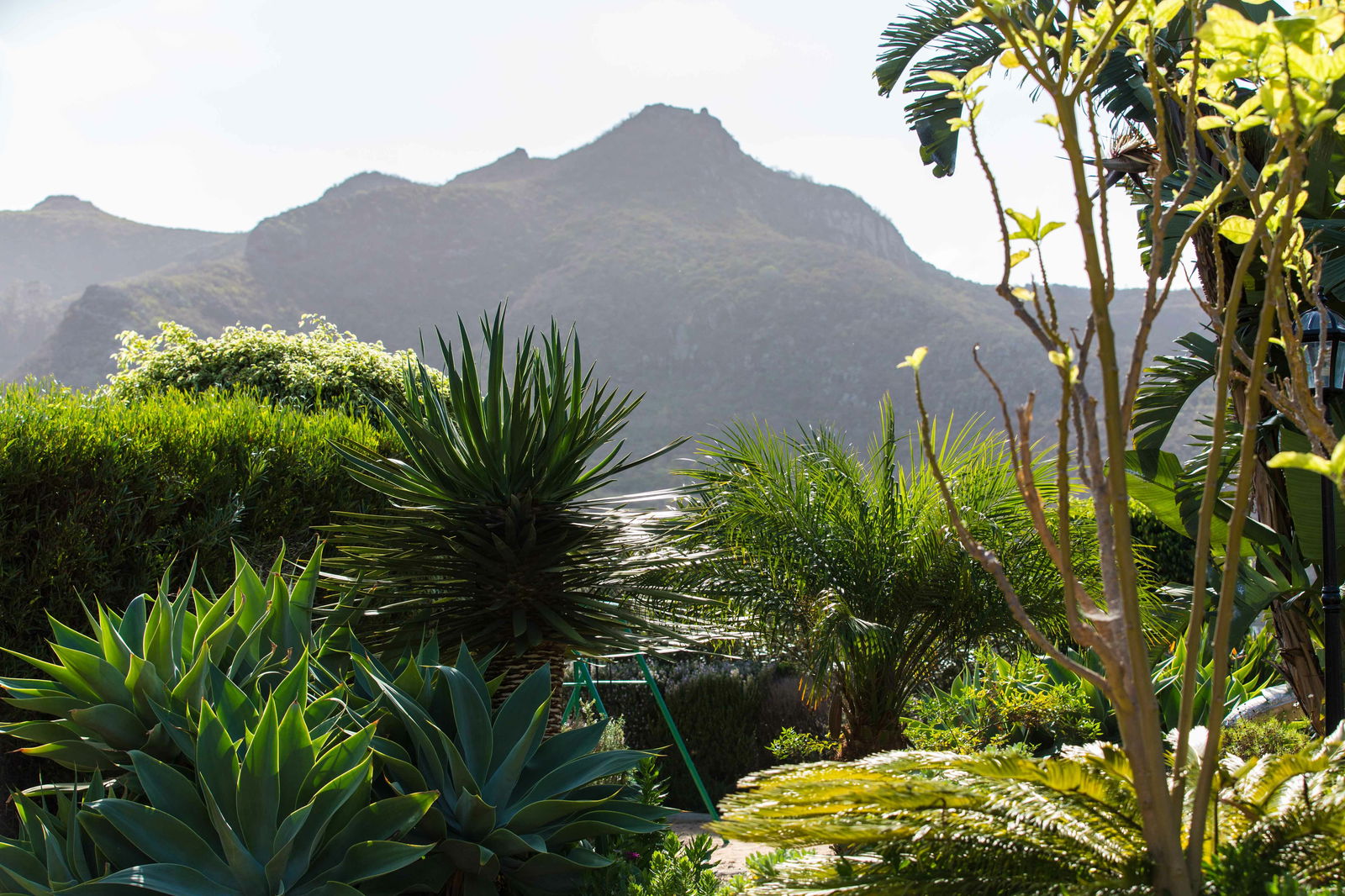 Tutta La Casa San Cristóbal de La Laguna 133561