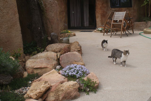 Tutta La Casa Serra-di-Ferro 45909