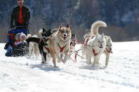 Tutta La Casa Saint-Gervais-les-Bains 125512