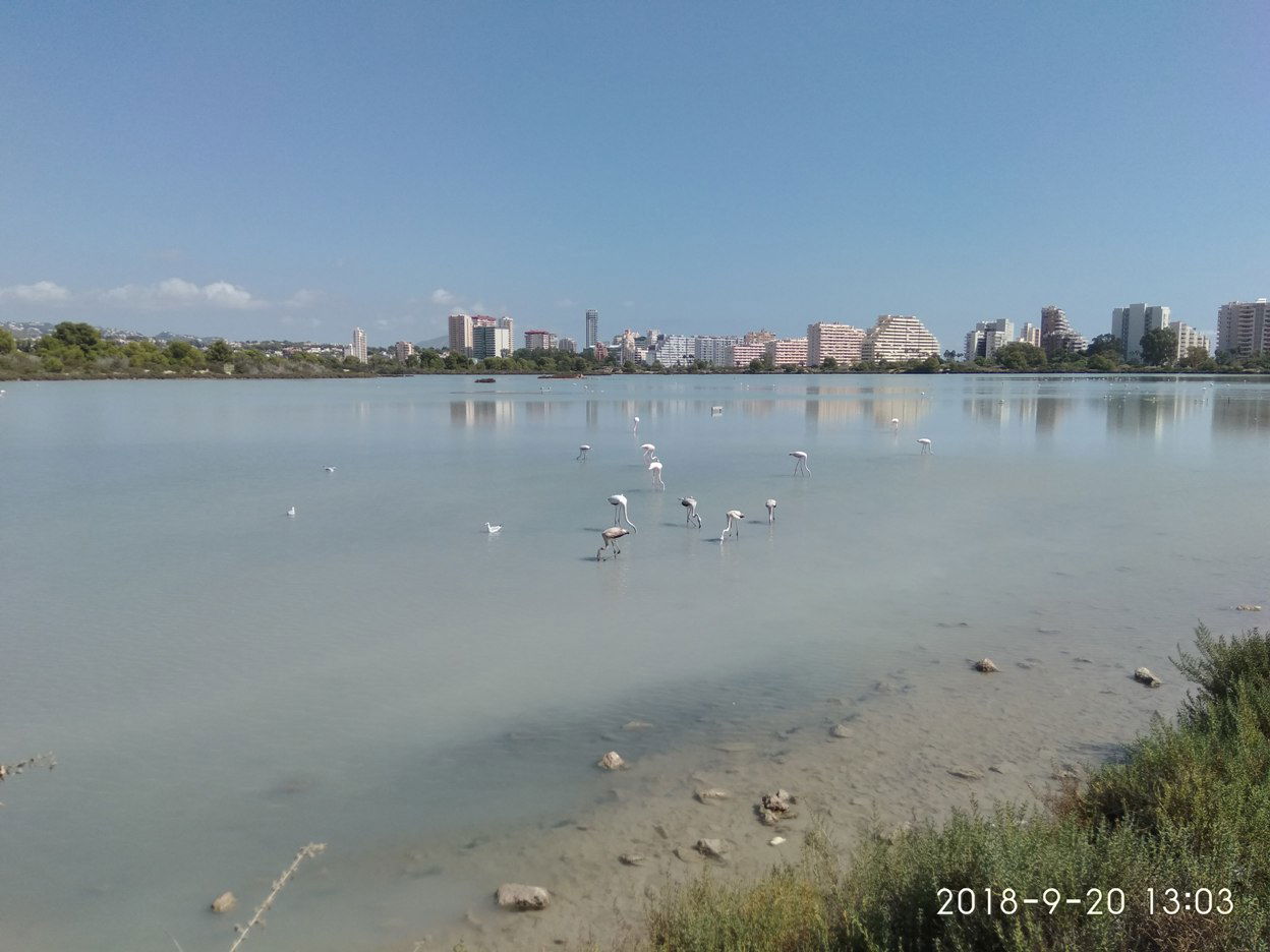 Monolocale Indipendente Calpe 574516