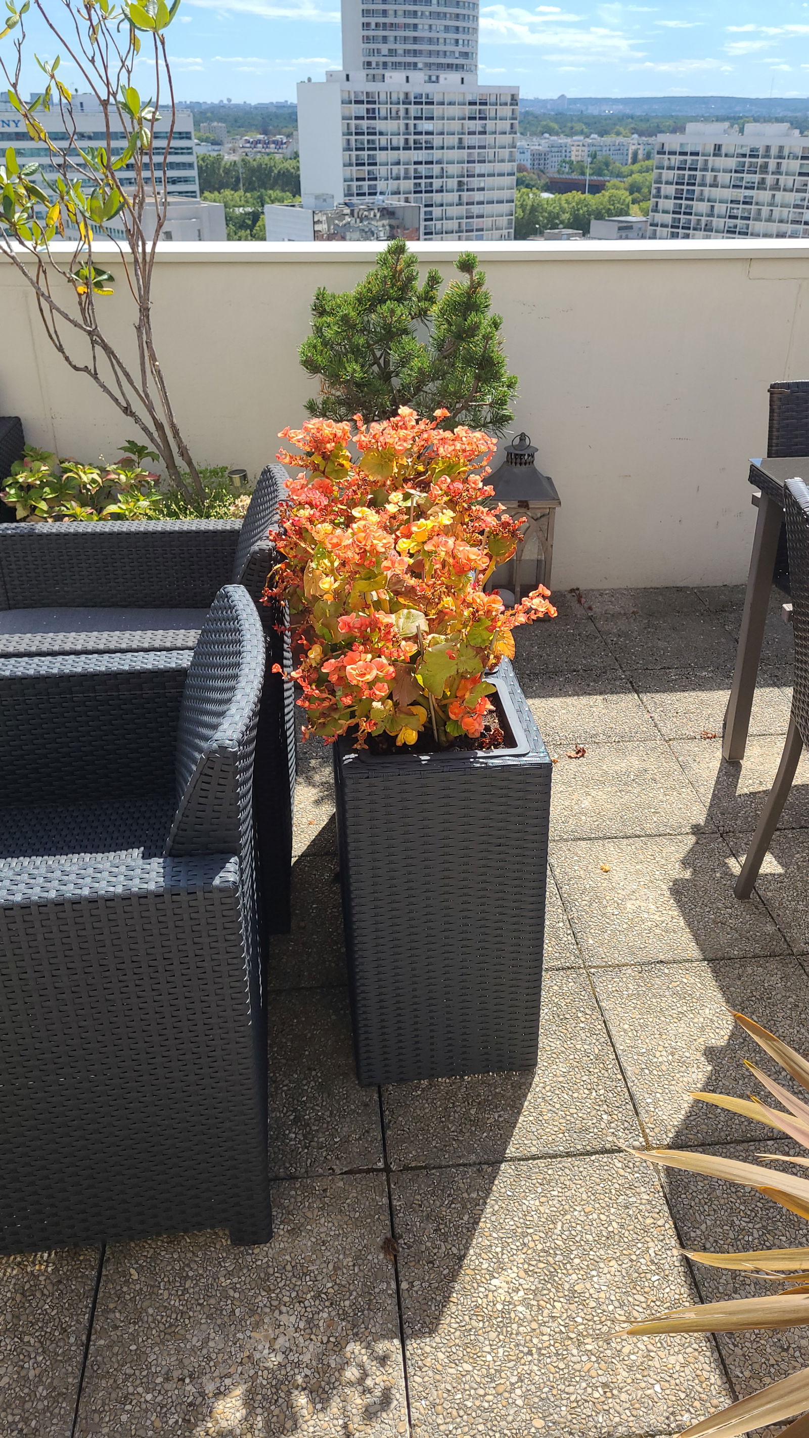 Famiglia Puteaux 262784