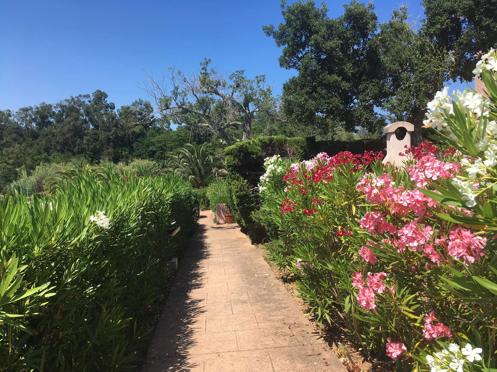 Tutta La Casa Zonza 218759