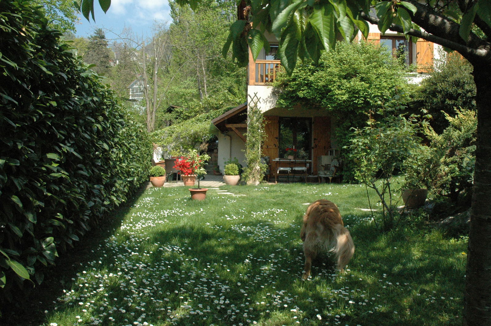 Tutta La Casa Corenc 141841