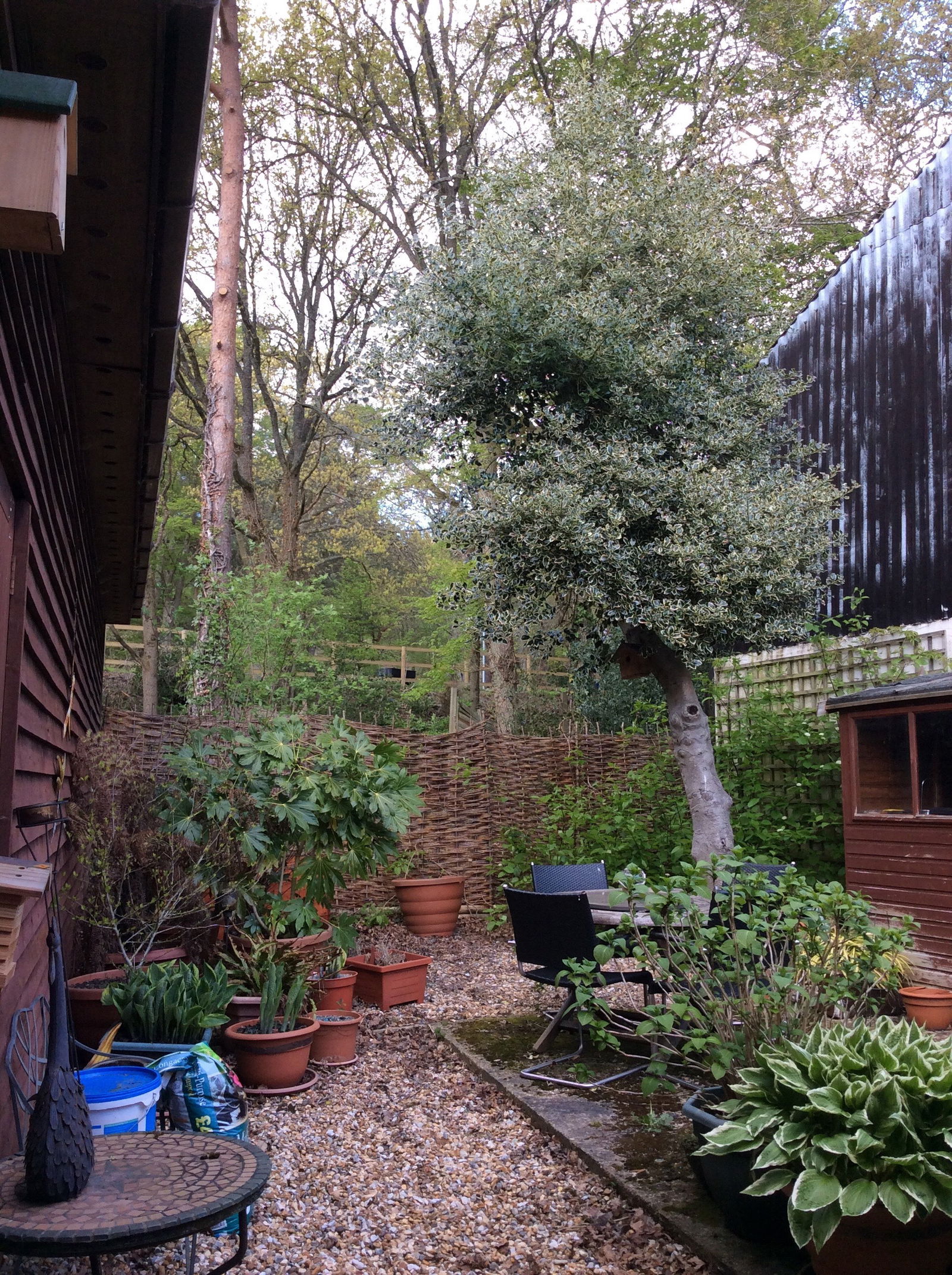 Famiglia Churt 166062