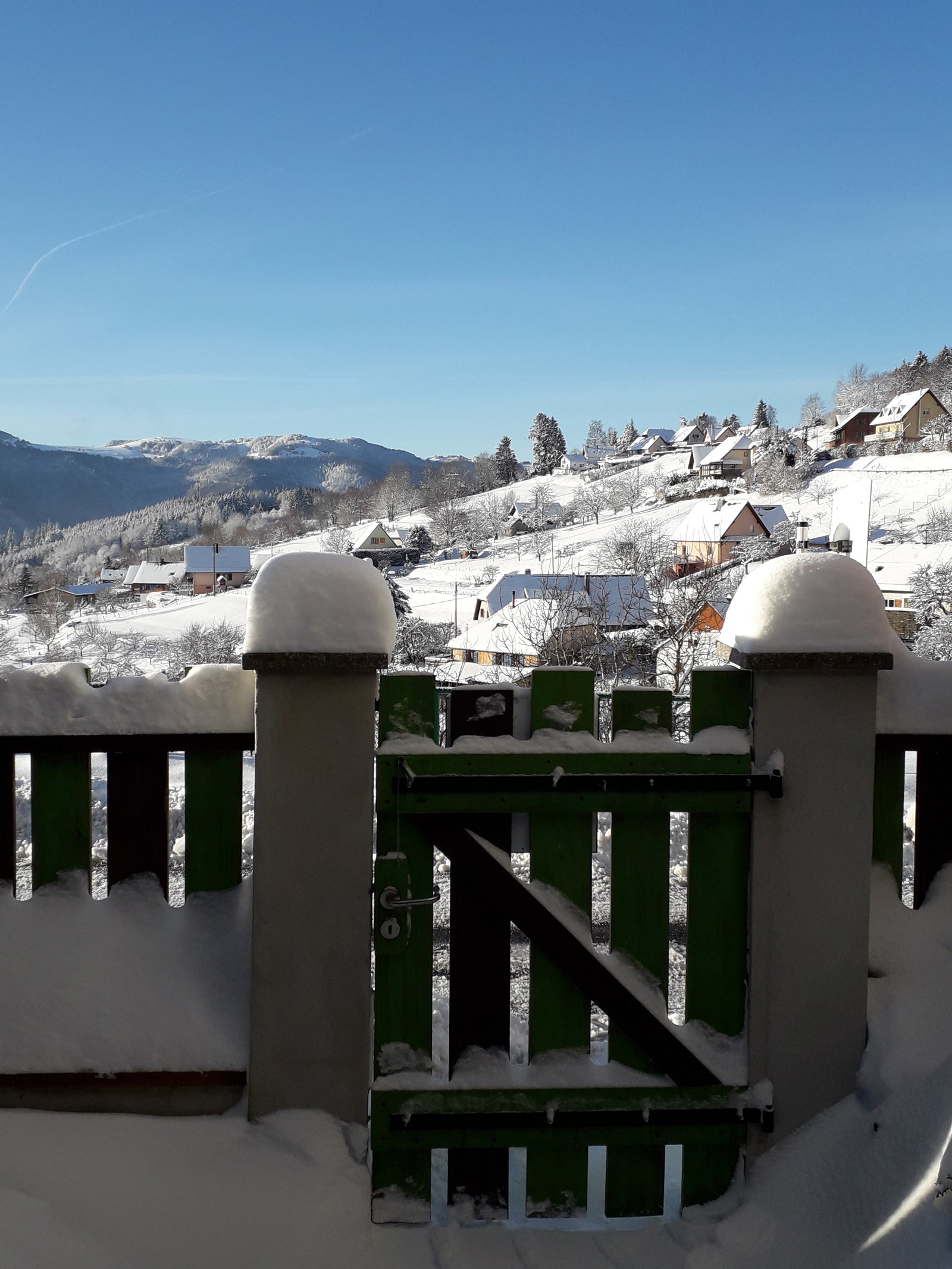 Tutta La Casa Geishouse 249077