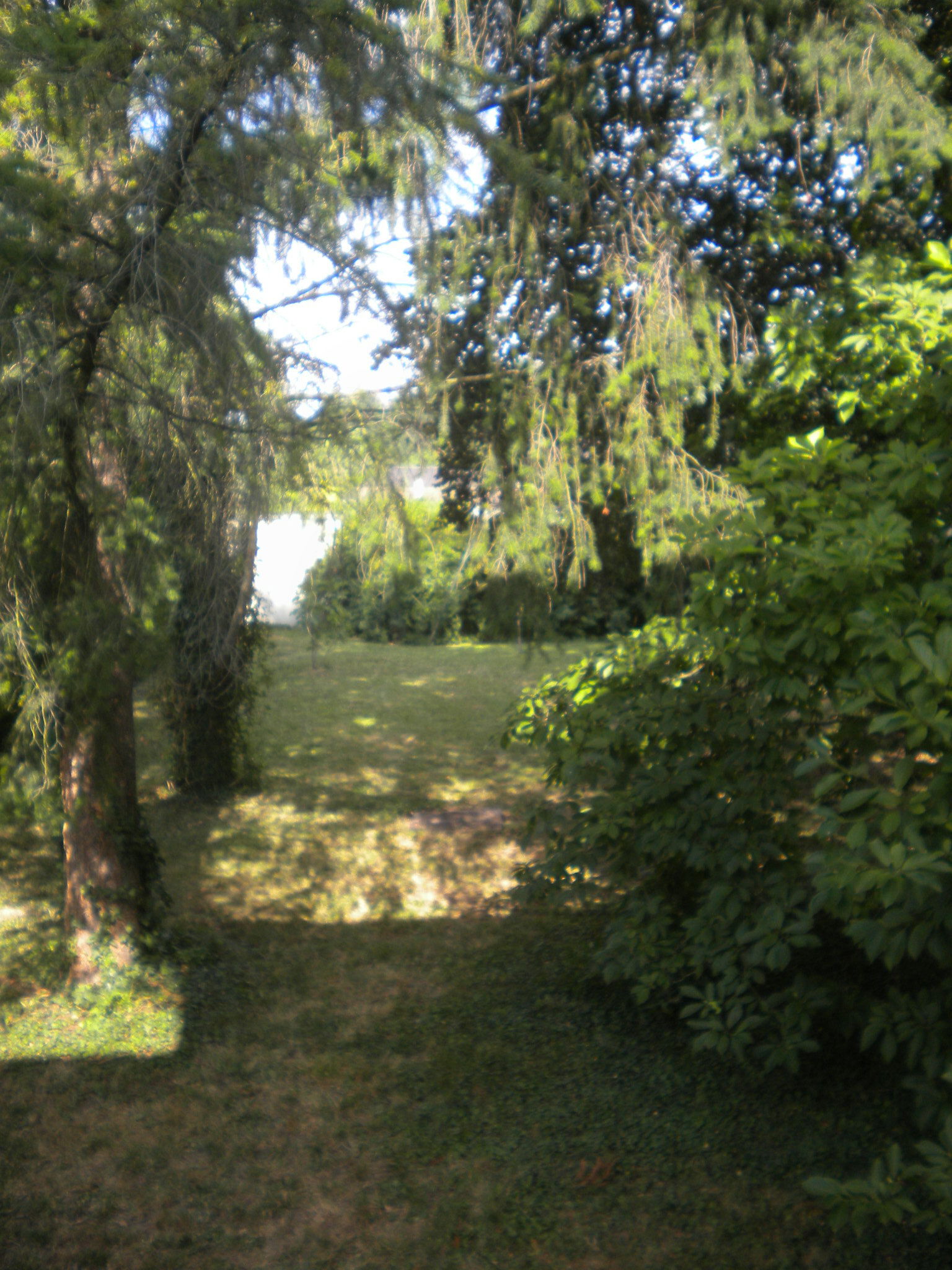 Monolocale Indipendente Colmar 65428