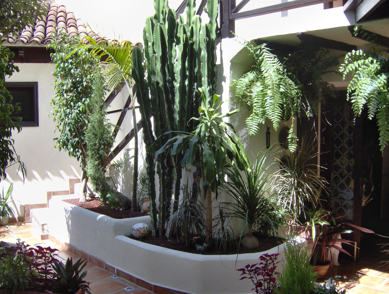 Tutta La Casa Icod de los Vinos 243009