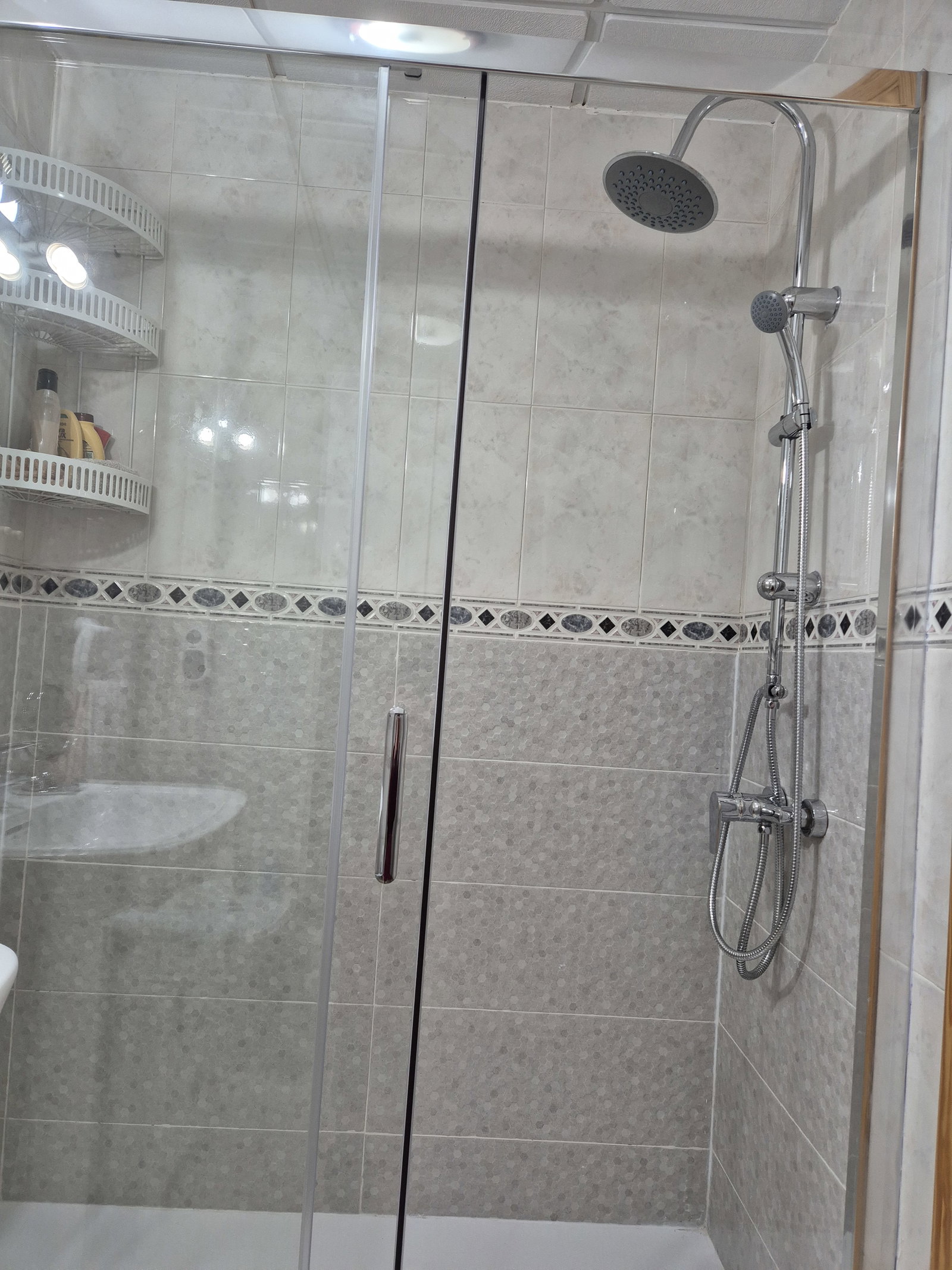 Famiglia Torrevieja 122203