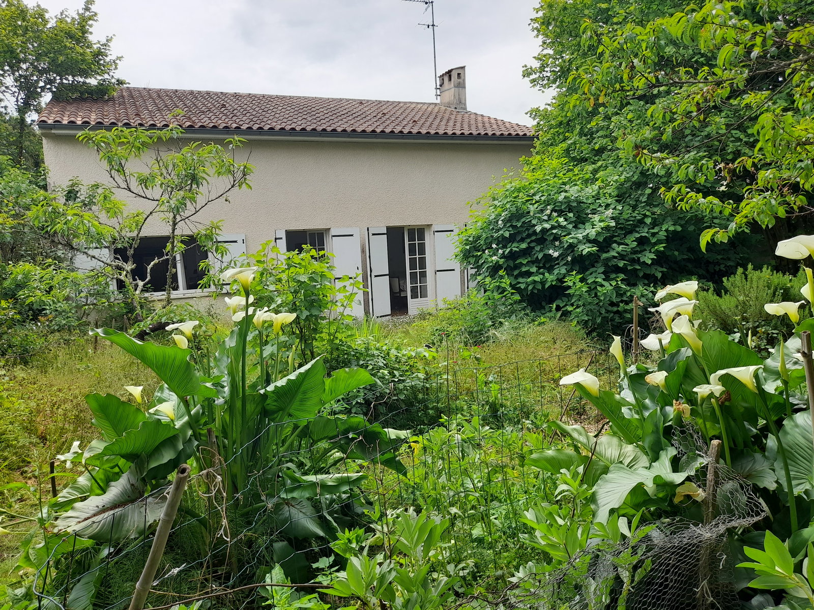 Collocazione Gradignan 268023