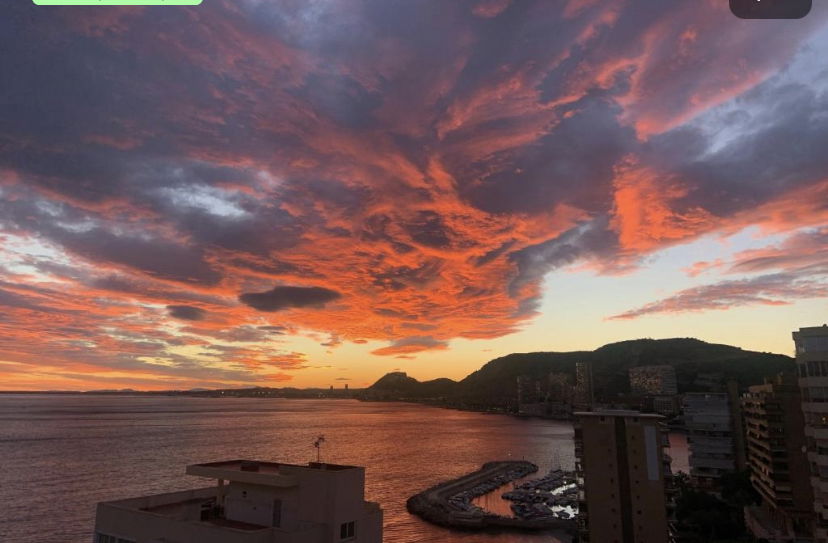 Famiglia Alacant 261755