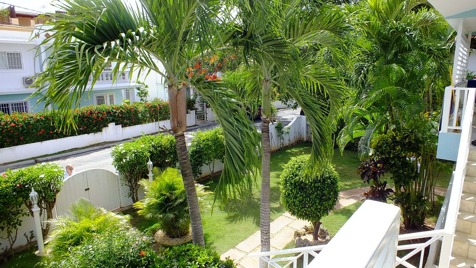 Tutta La Casa Dominicus 81523