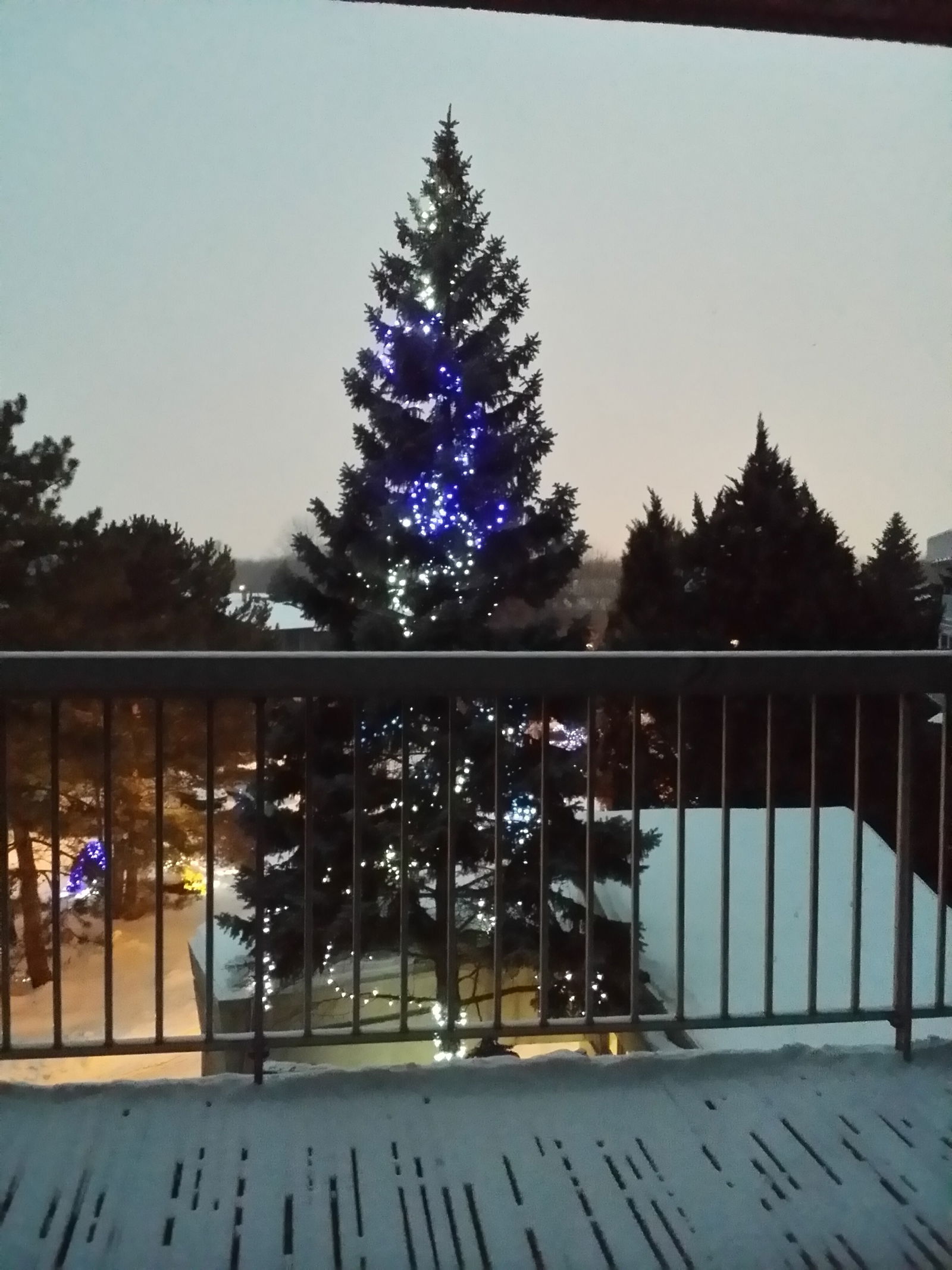 Famiglia Montréal 91631