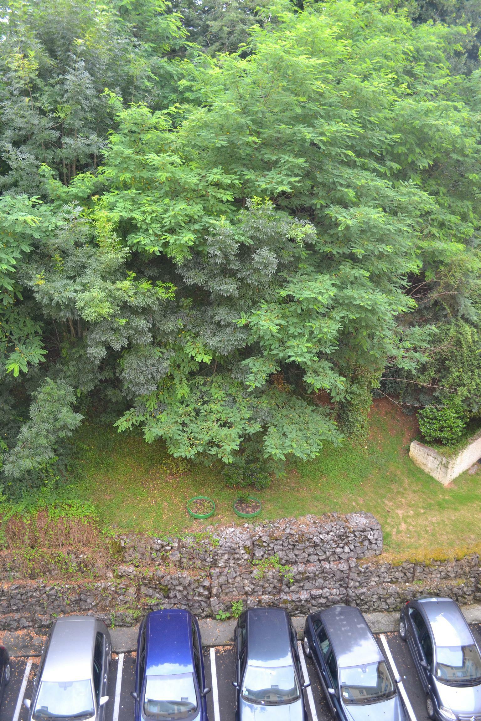 Monolocale Indipendente Billère 77517