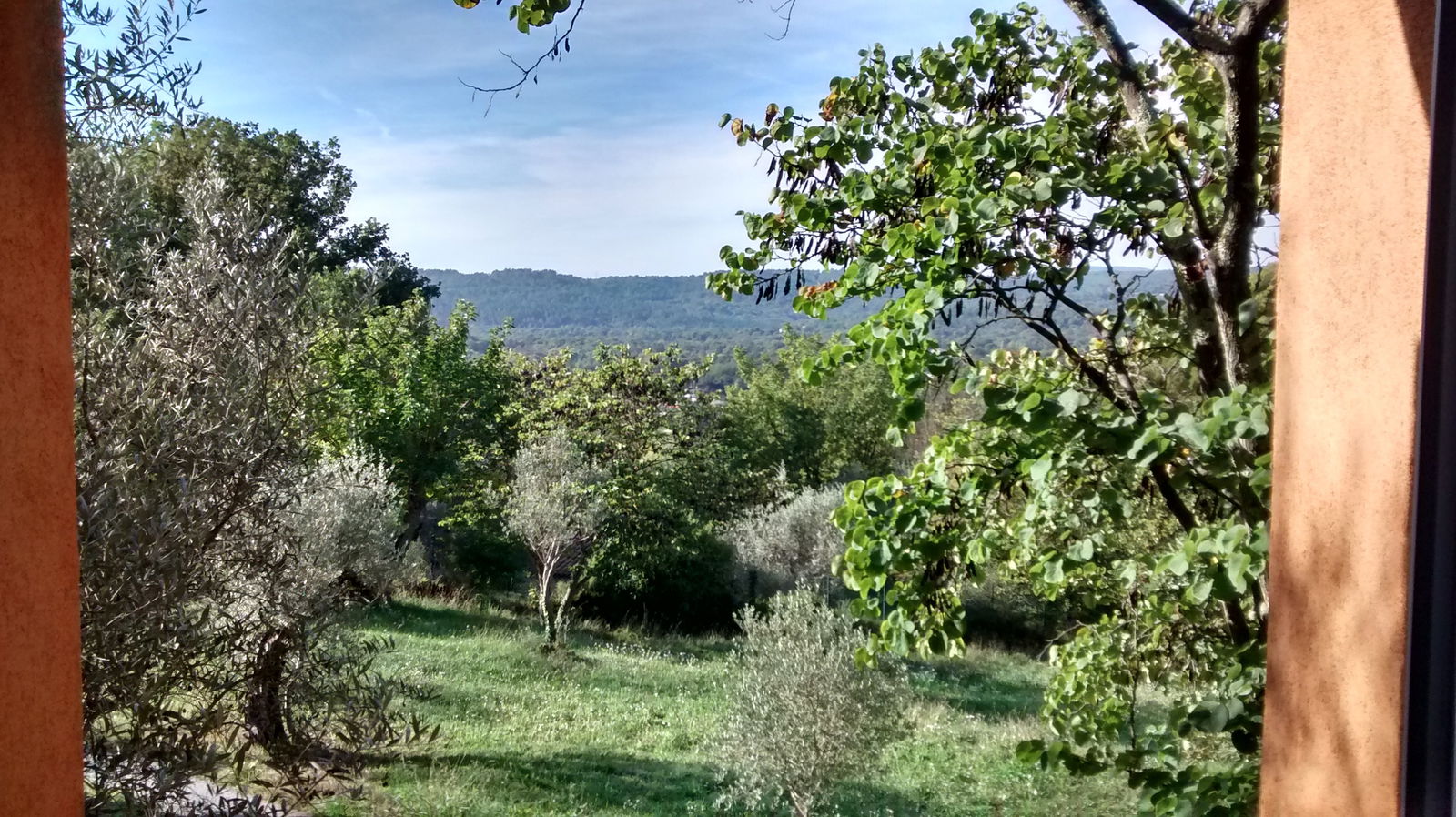 Monolocale Indipendente Montauroux 94643