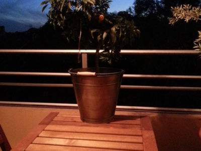 Monolocale Indipendente Bordeaux 55402