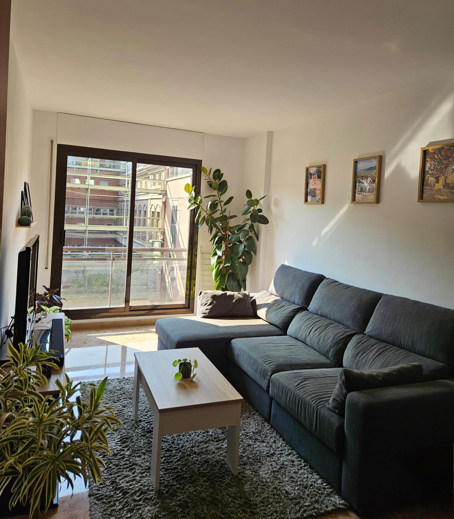 Famiglia Barcelona 589847