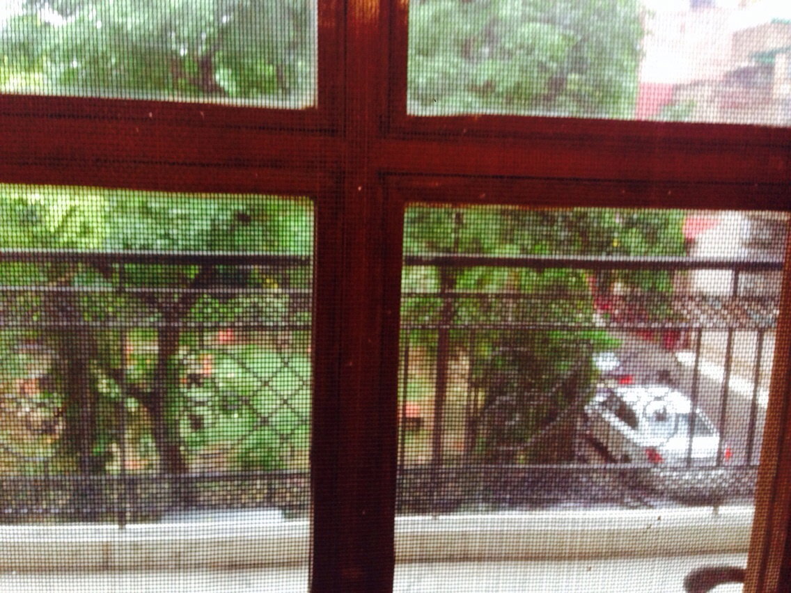 Collocazione New Delhi 122937