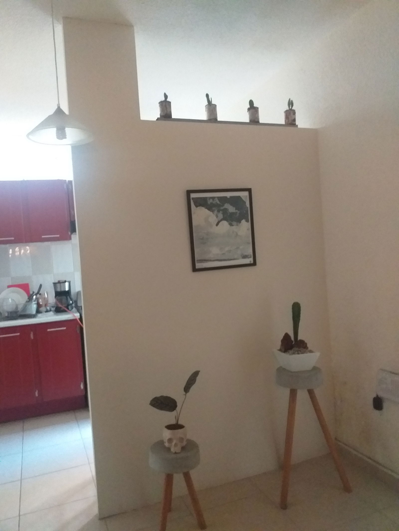 Tutta La Casa México D.F. 259018