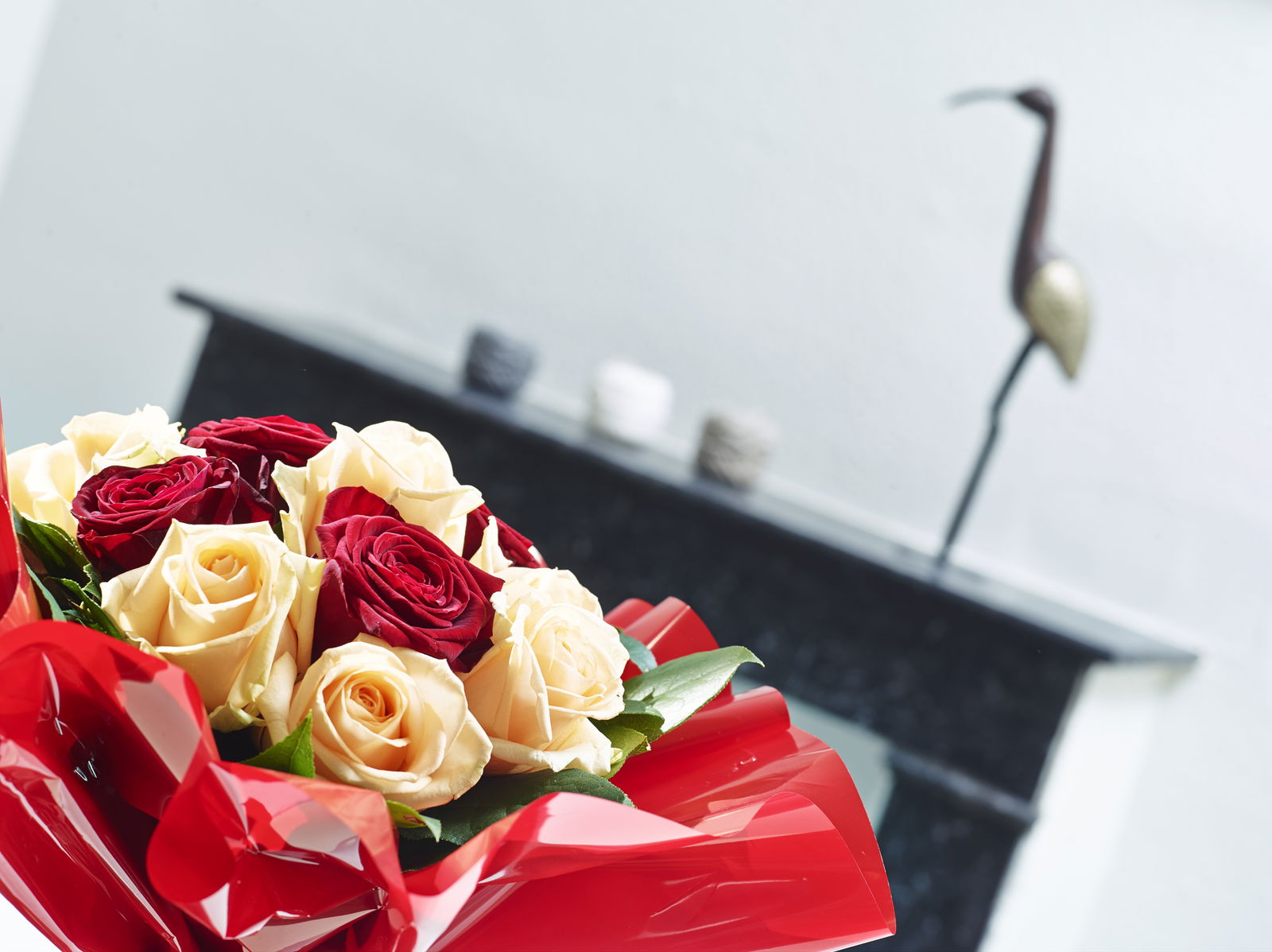 Tutta La Casa Angers 114442