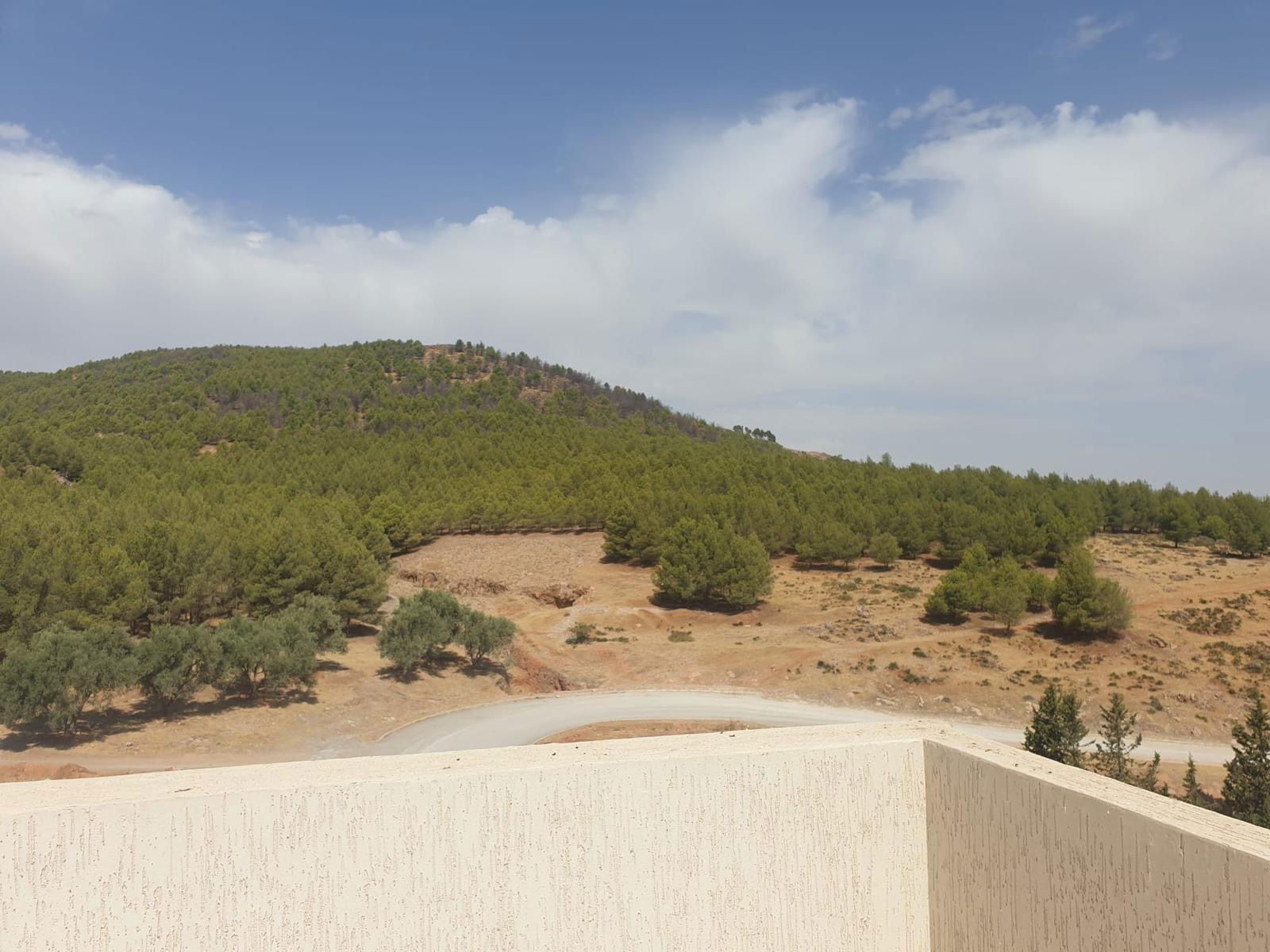 Famiglia Sefrou 353307