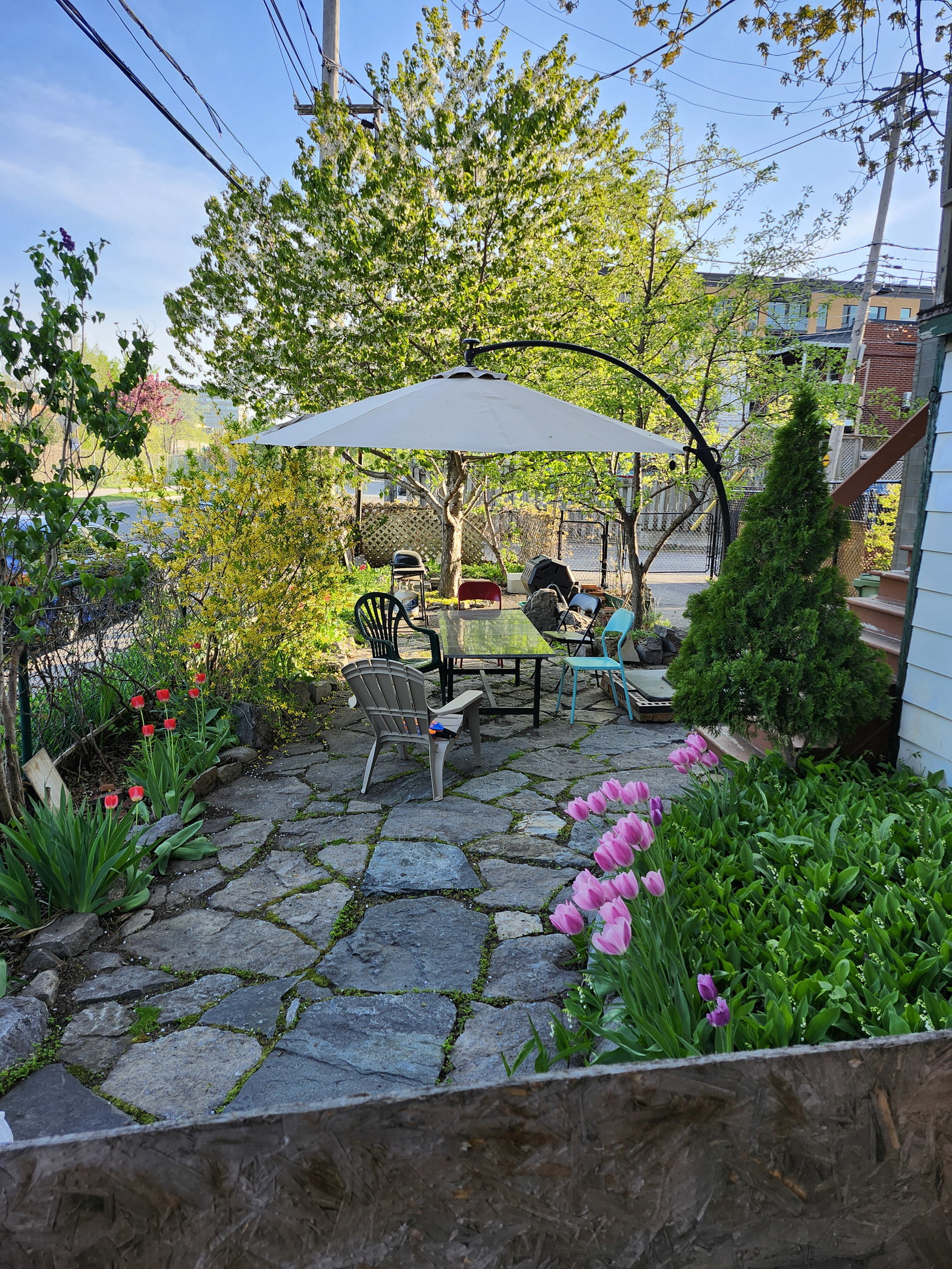 Tutta La Casa Montréal 156691