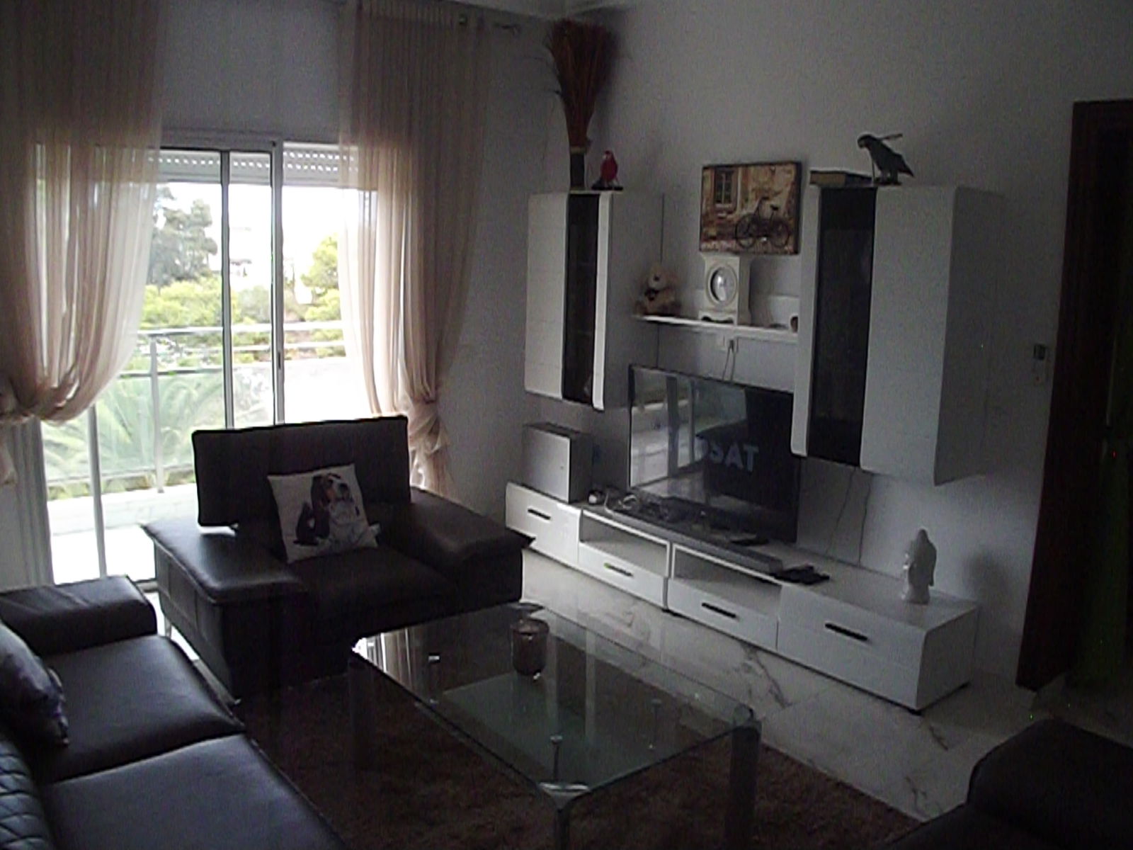 Tutta La Casa Tunis 252634