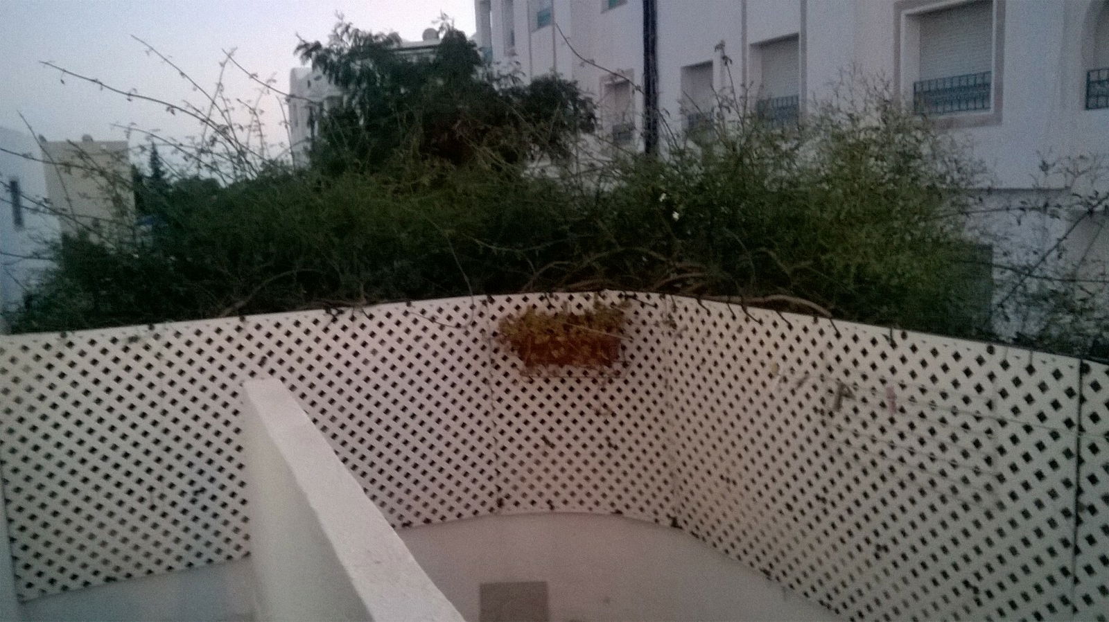 Tutta La Casa Mrezga 199387