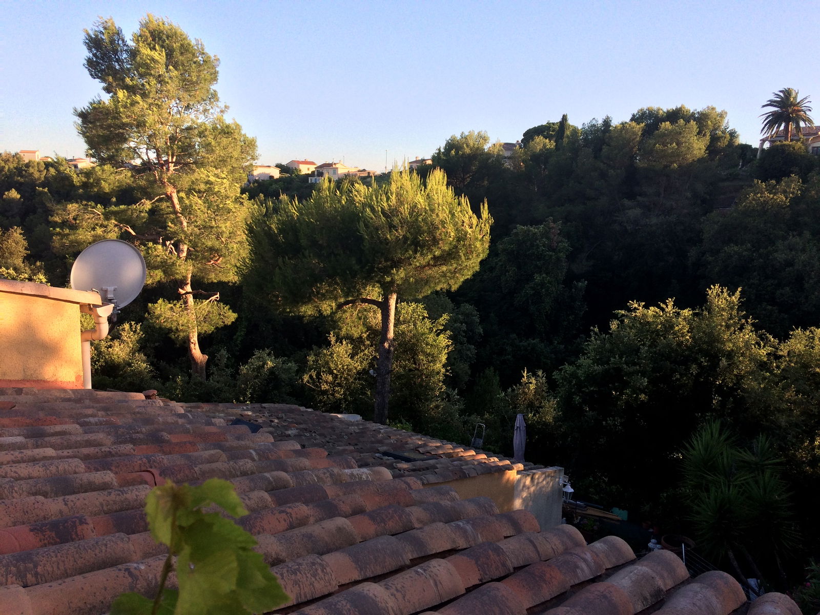 Monolocale Indipendente Cagnes-sur-Mer 174723