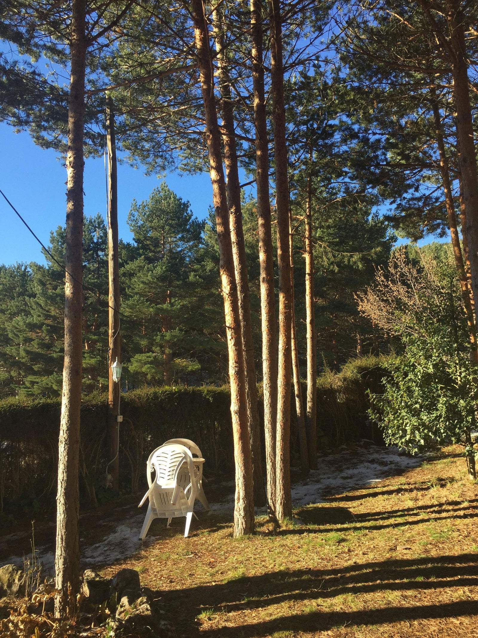 Tutta La Casa Logrono 102446