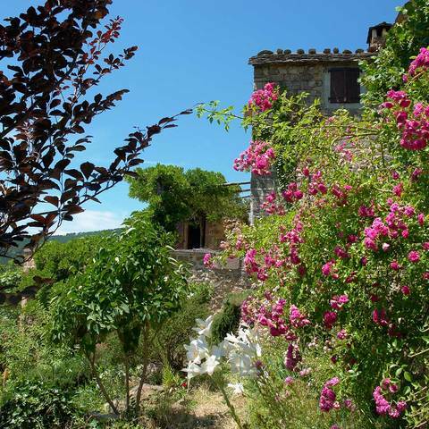 Tutta La Casa Saint-Pierre-Saint-Jean 45434