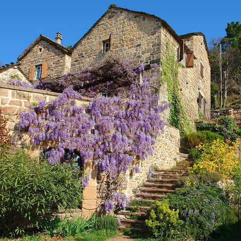 Tutta La Casa Saint-Pierre-Saint-Jean 45434