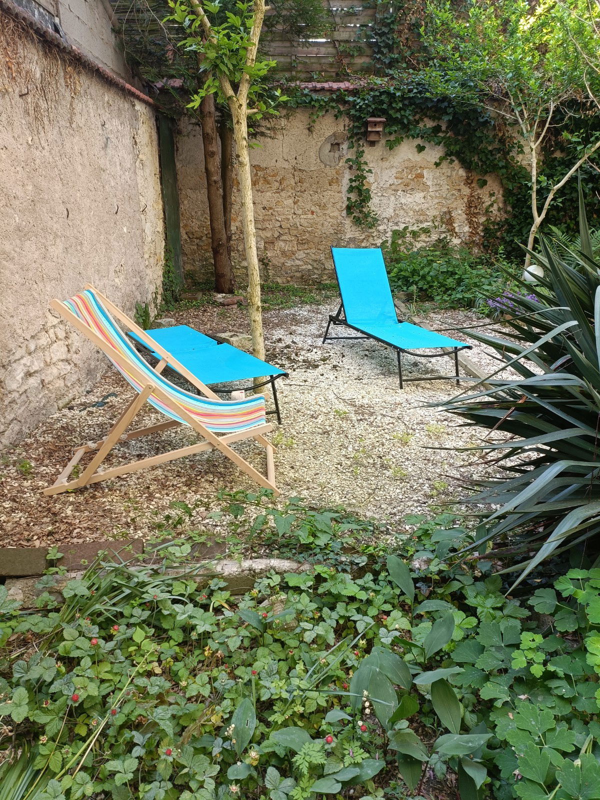 Tutta La Casa Nancy 267132