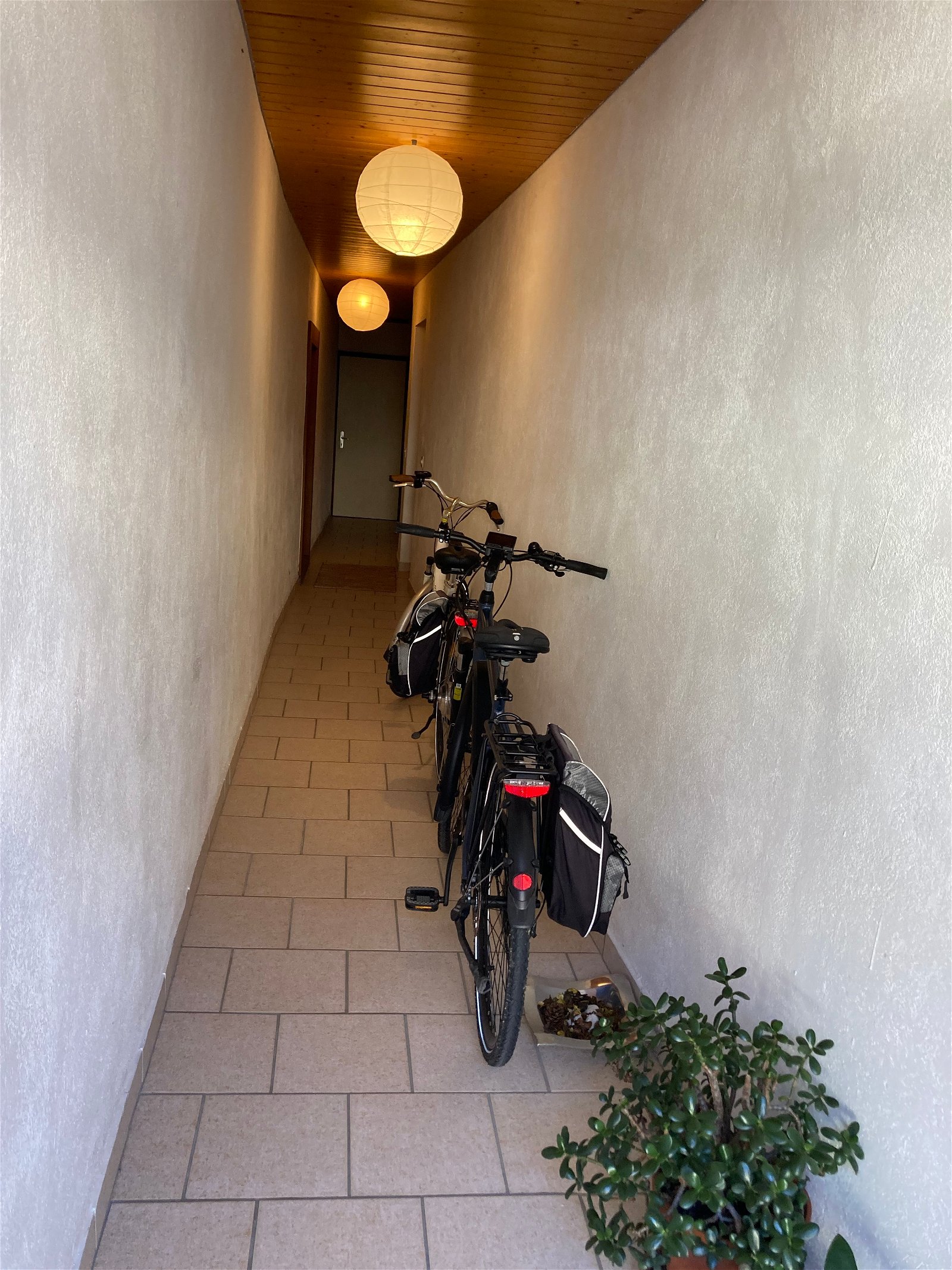 Estúdio Independente Rances 252134