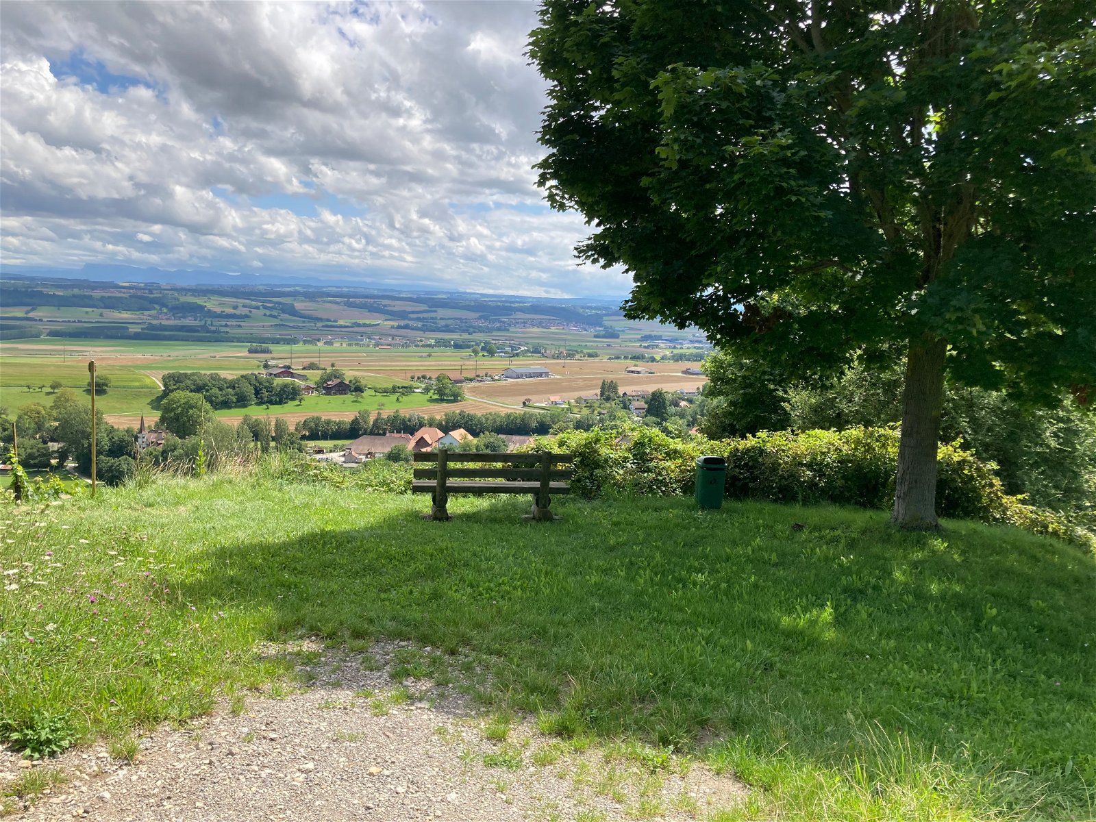 Estúdio Independente Rances 252134