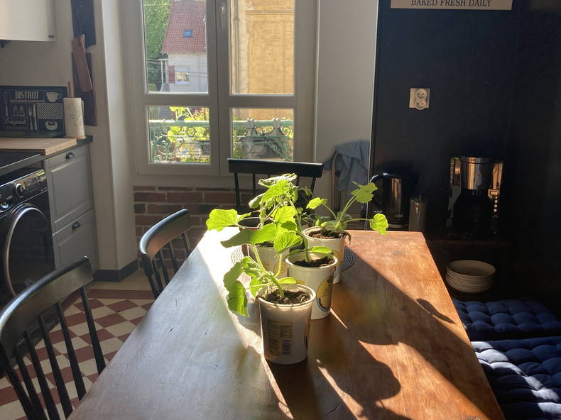 Entire Home Meaux 236211-1