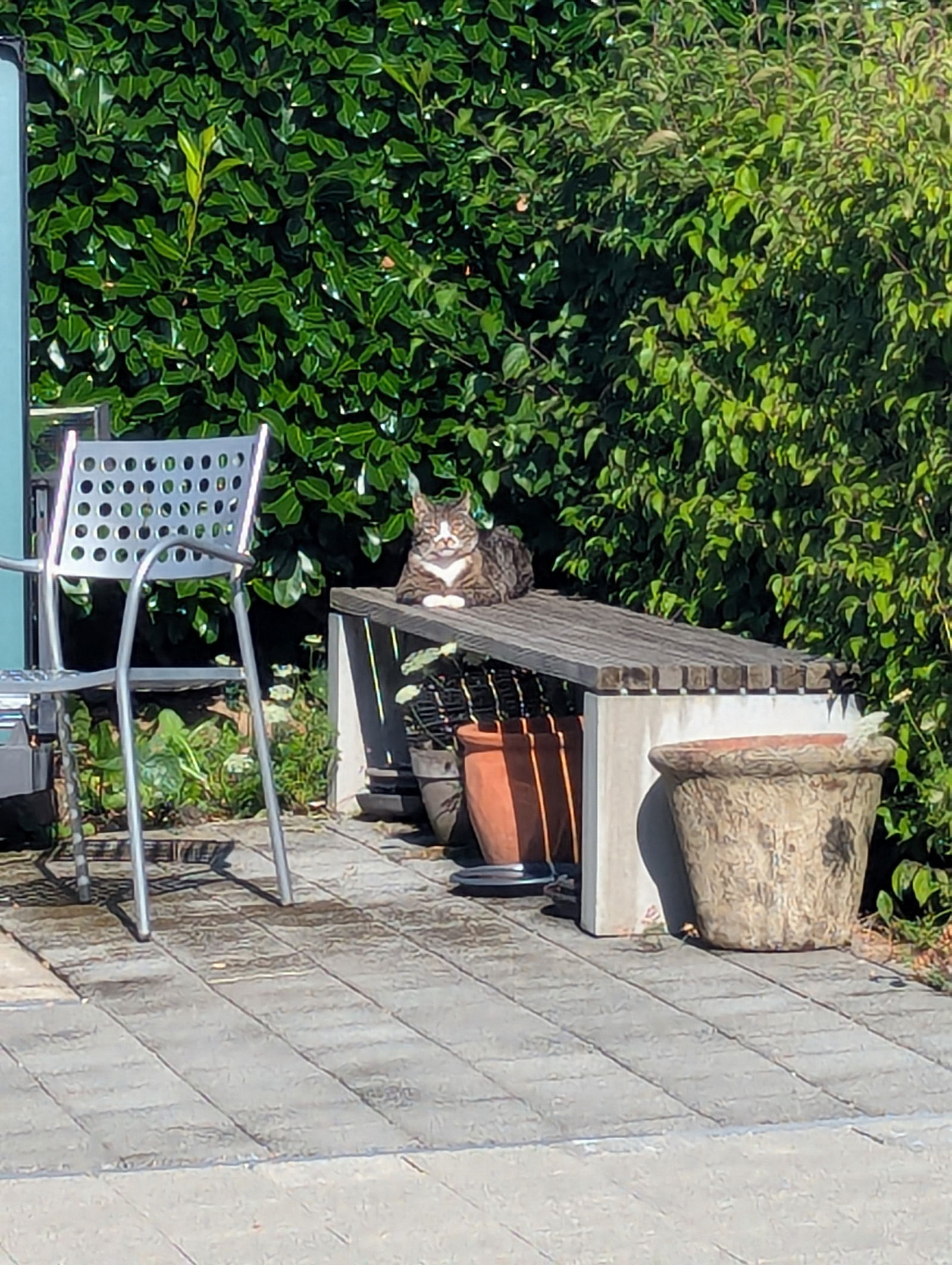 Coliving Nyon 559118