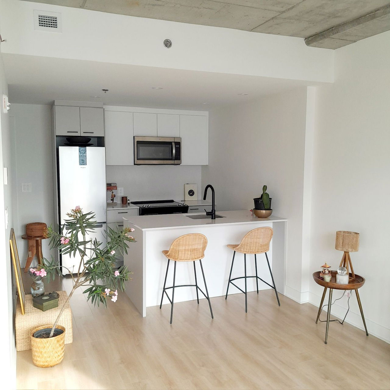 Logement Entier Montréal 309069