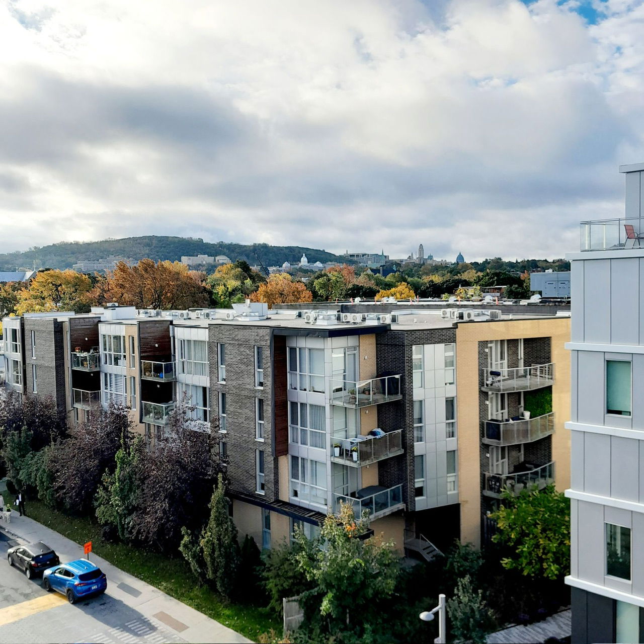 Logement Entier Montréal 309069