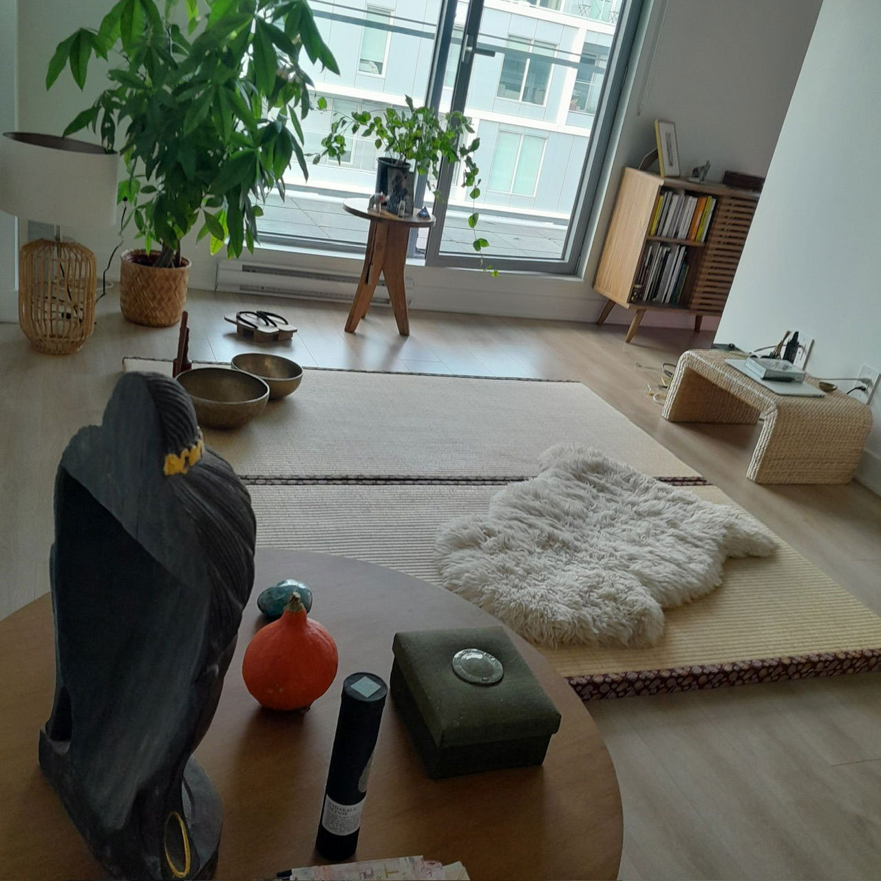 Logement Entier Montréal 309069