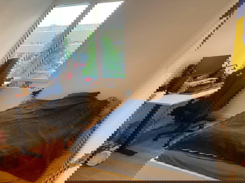 Tutta La Casa Chavannes-près-Renens 516659-4