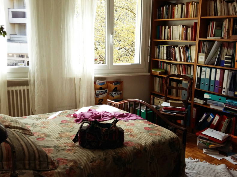 Entire Home Chêne-Bourg 132704-2