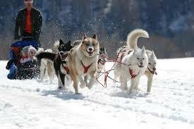 Estúdio Independente Saint-Gervais-les-Bains 125512