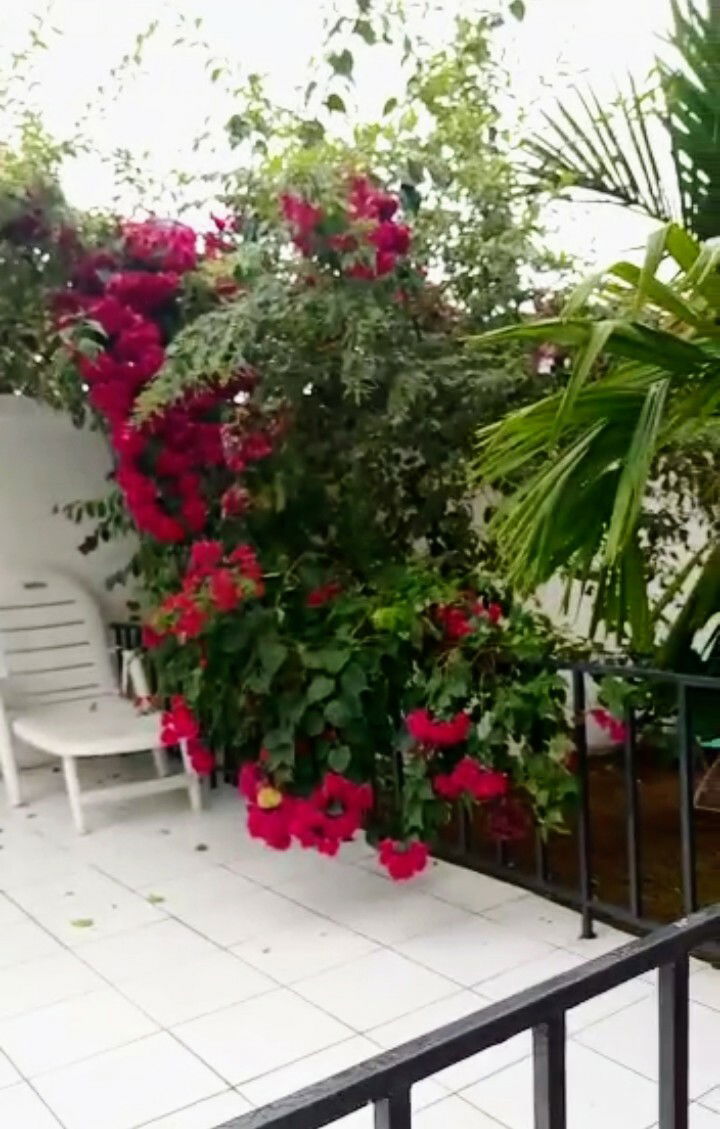 Studio Indépendant Yaoundé 234445