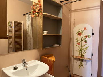 Logement entier à louer à Rennes - photo 12 : salle de bain-12