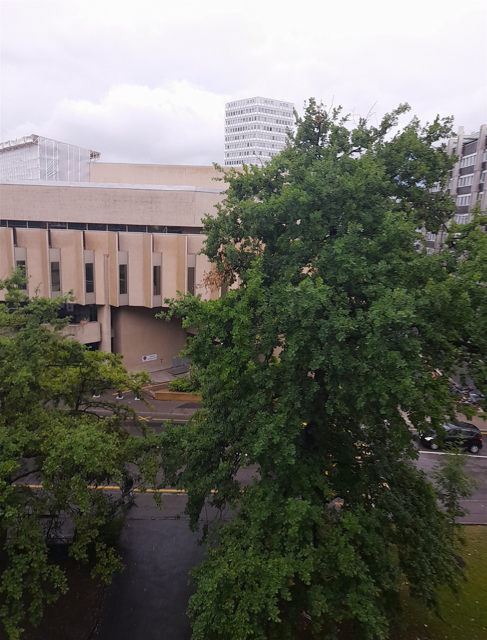 Niezależne Studio Genève 260162