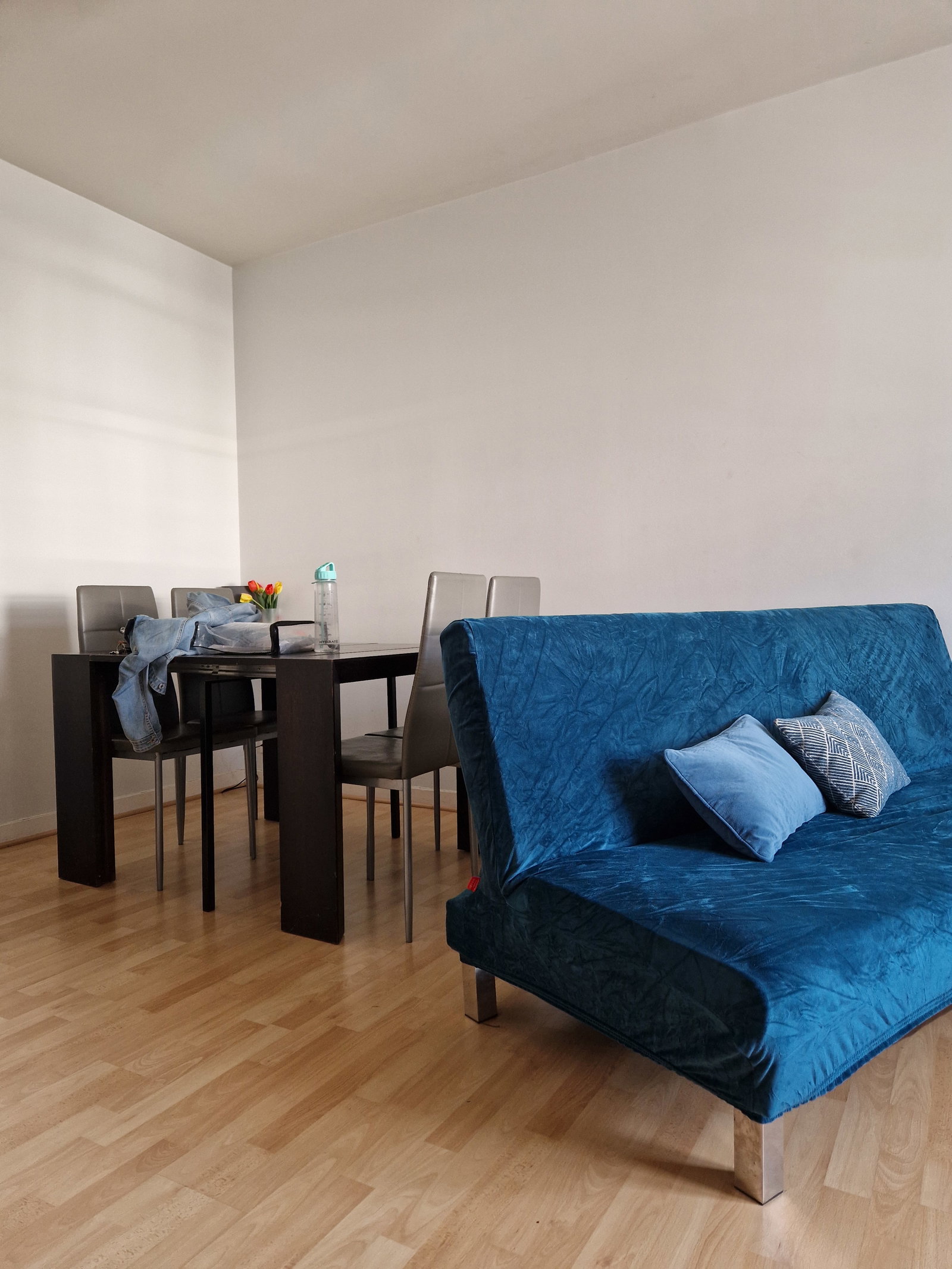Logement Entier Angers 225283