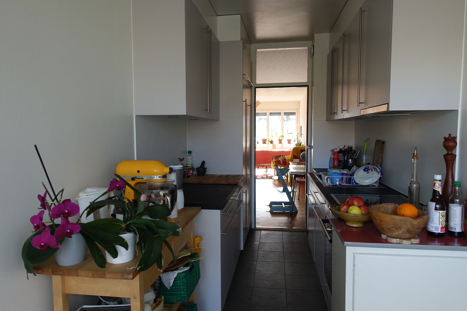 Logement Entier Genève 218465