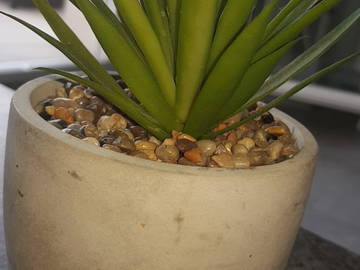 Logement Entier Rosny-Sous-Bois 207189-9