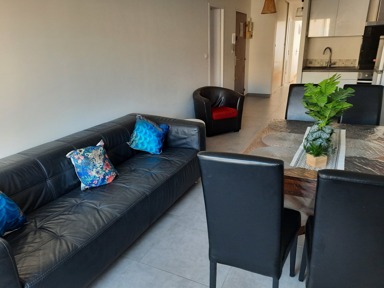 Colocation Nice 664116